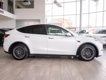 Tesla Model Y Long Range Dual Motor