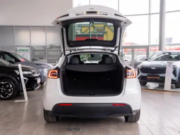 Tesla Model Y Long Range Dual Motor