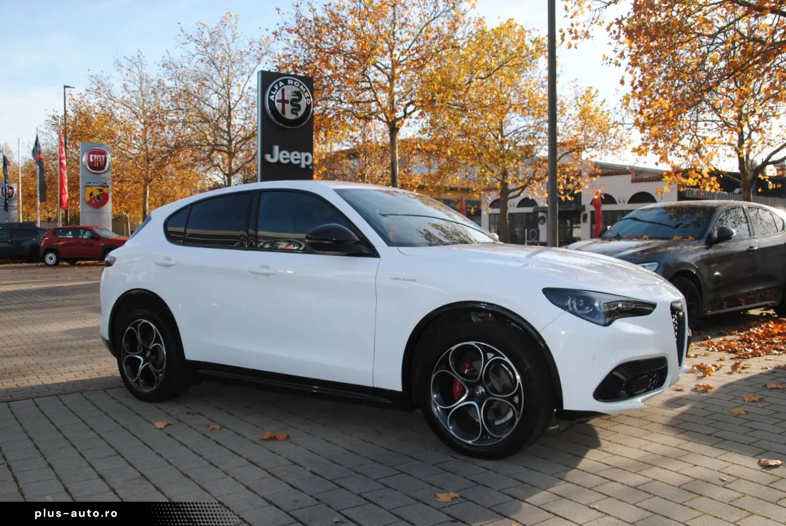 ALFA ROMEO Stelvio Veloce Q4  Premium Pack