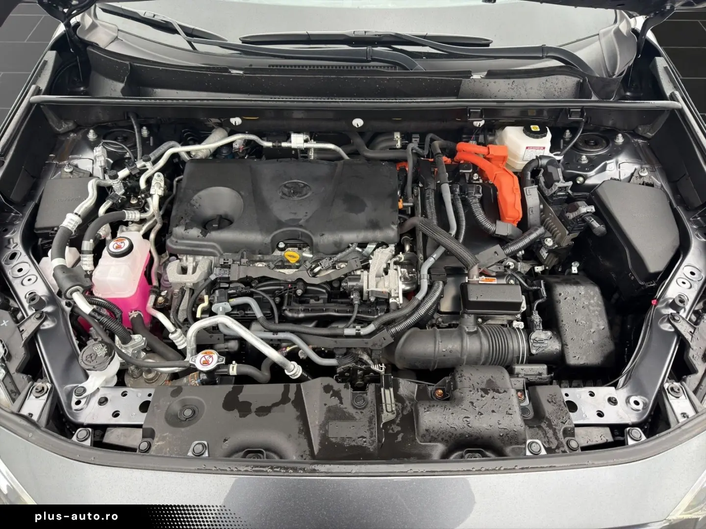 TOYOTA RAV 4 PLUG-IN TECHNIK & STYLE-PAKET PANORAMADACH