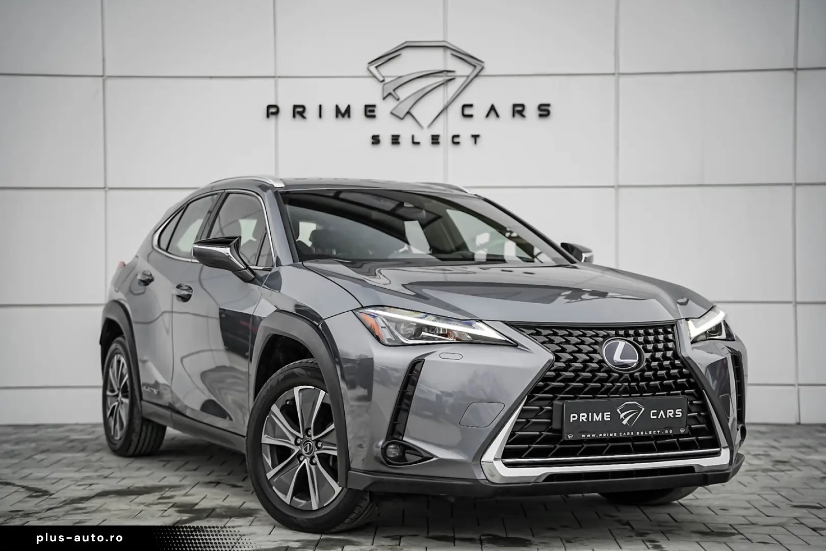 Lexus UX 300e Business
