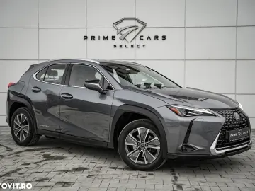Lexus UX 300e Business