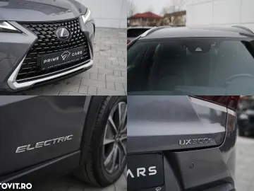 Lexus UX 300e Business