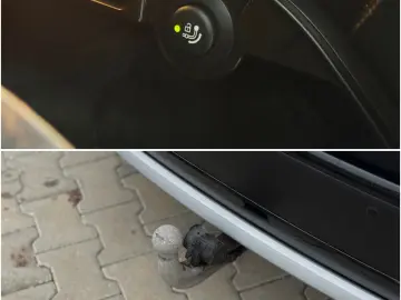 Audi Q5 - 2.0tdi   Quattro   190cp   Automat   RAR EFECTUAT