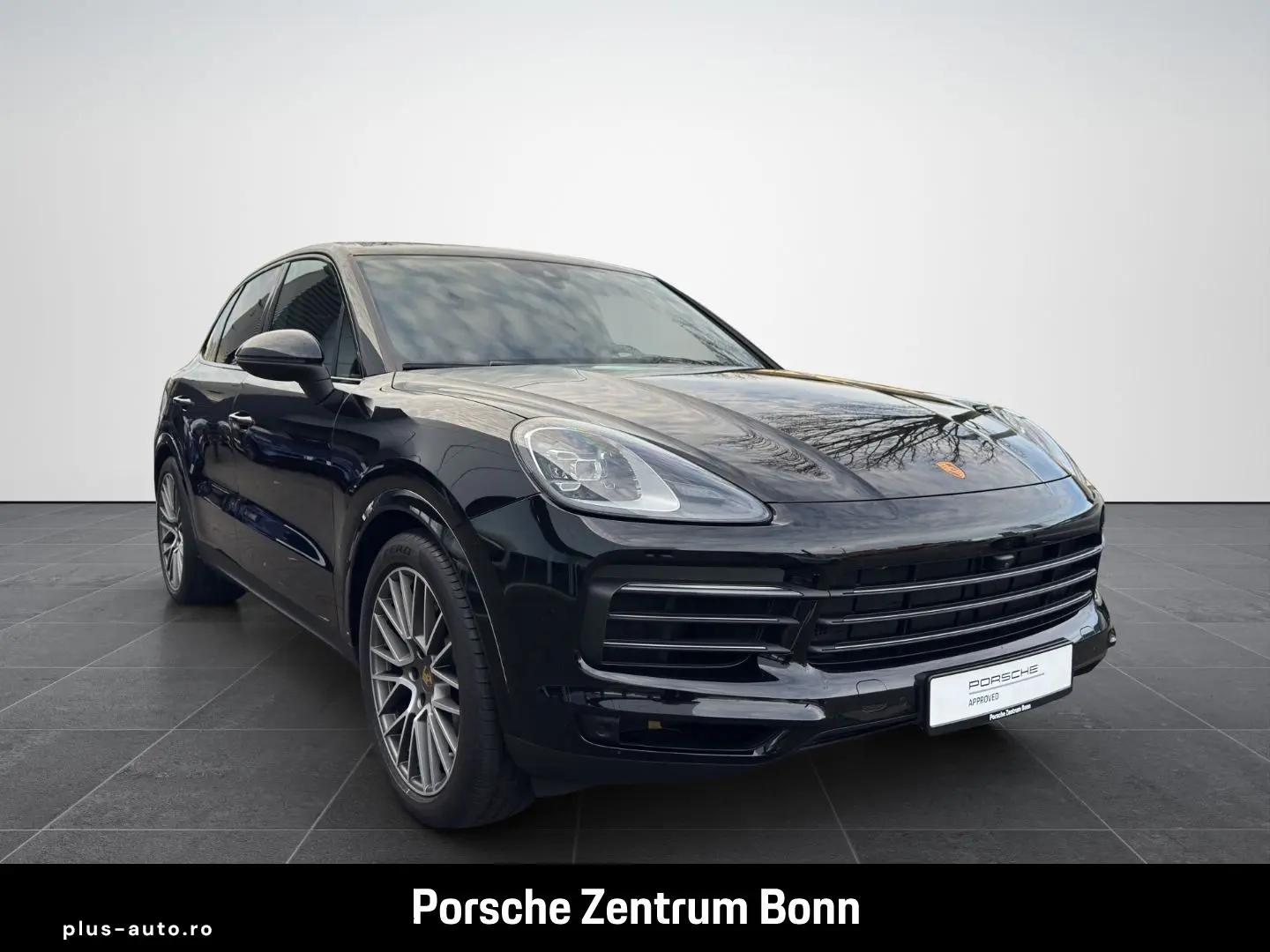 PORSCHE Cayenne Platinum Edition Surround-View Panorama