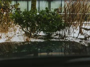 BMW 740d xDrive M Sport Pro  TV  B&W Diamond