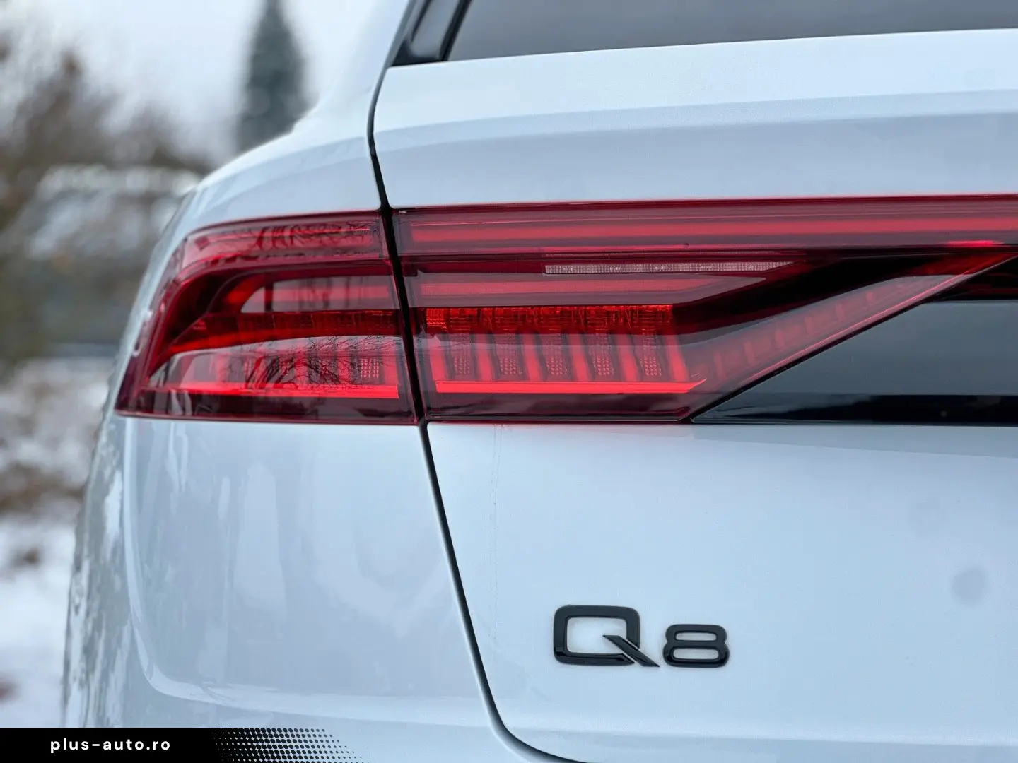 AUDI Q8 55TFSI qu S LINE PANO STANDHZ AHK MATRIX B&O