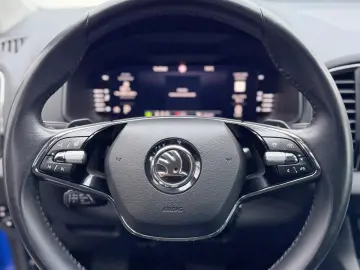 Skoda Karoq 4x4 DSG   Fab.- 03.2024   2.0 Diesel 150 Cp