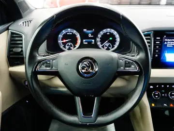 SKODA Karoq Style LED NAVI AHK PDC SHZ