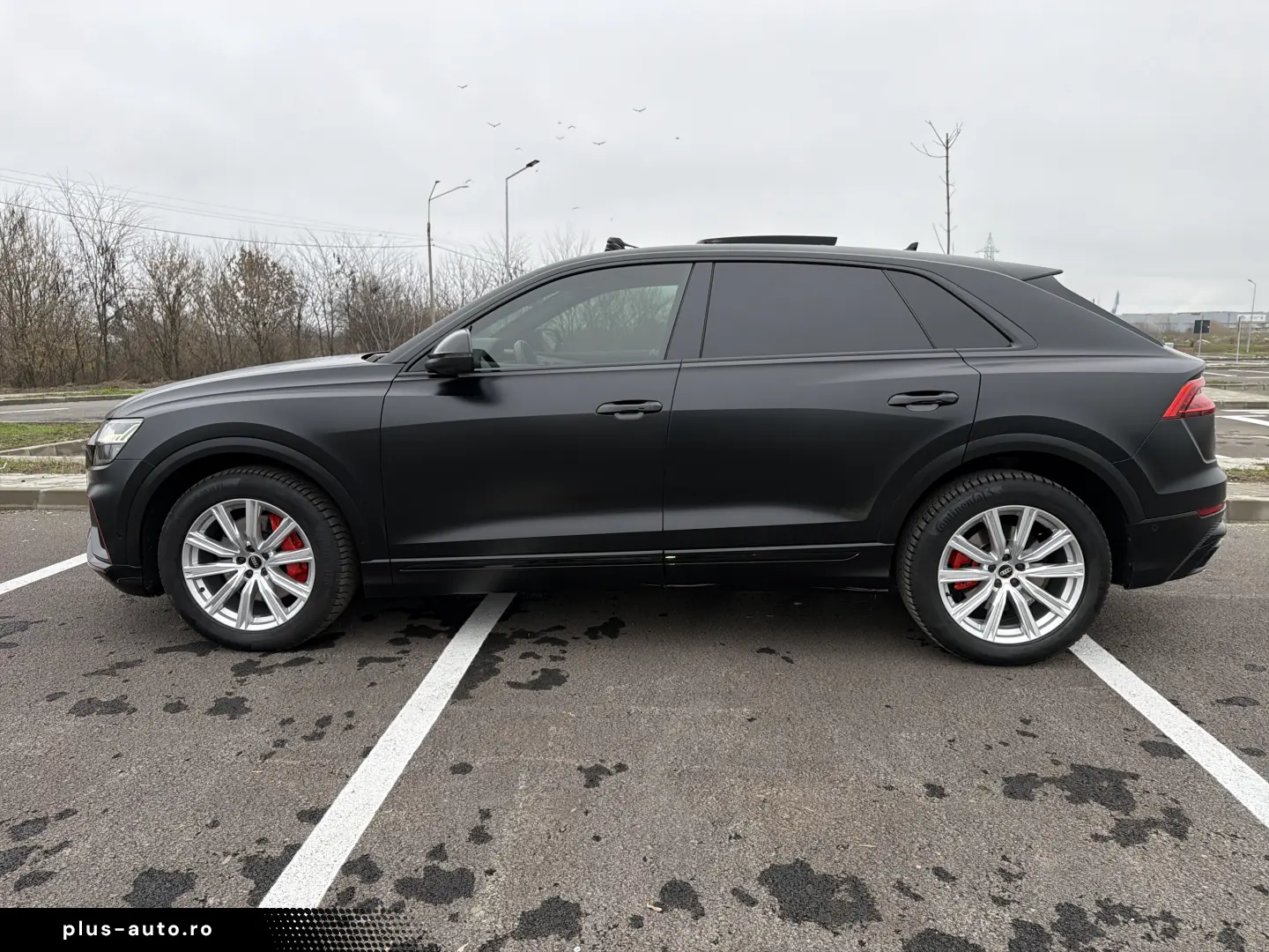 Audi Q8 S-line 2022   89.000km   Istoric Service