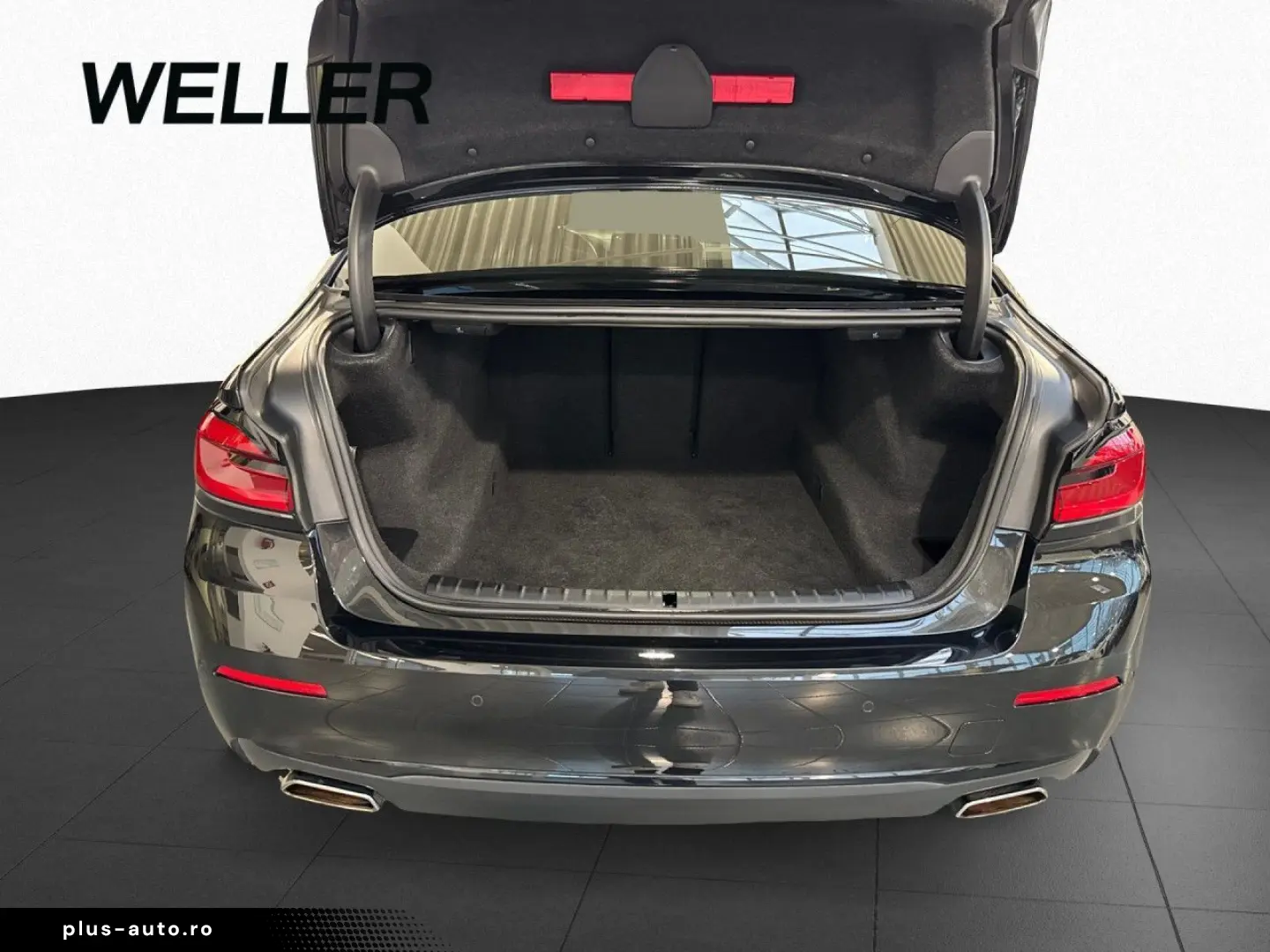 BMW 530d xD Limo LivProf RFK DAPro HUD StdHz H K 19