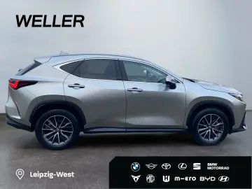LEXUS NX 350h Executive Line  Bi-LED Pano Leder 360 HU