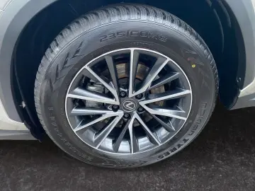 LEXUS NX 350h Executive Line  Bi-LED Pano Leder 360 HU