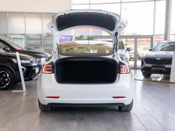 Tesla Model 3 Standard Range