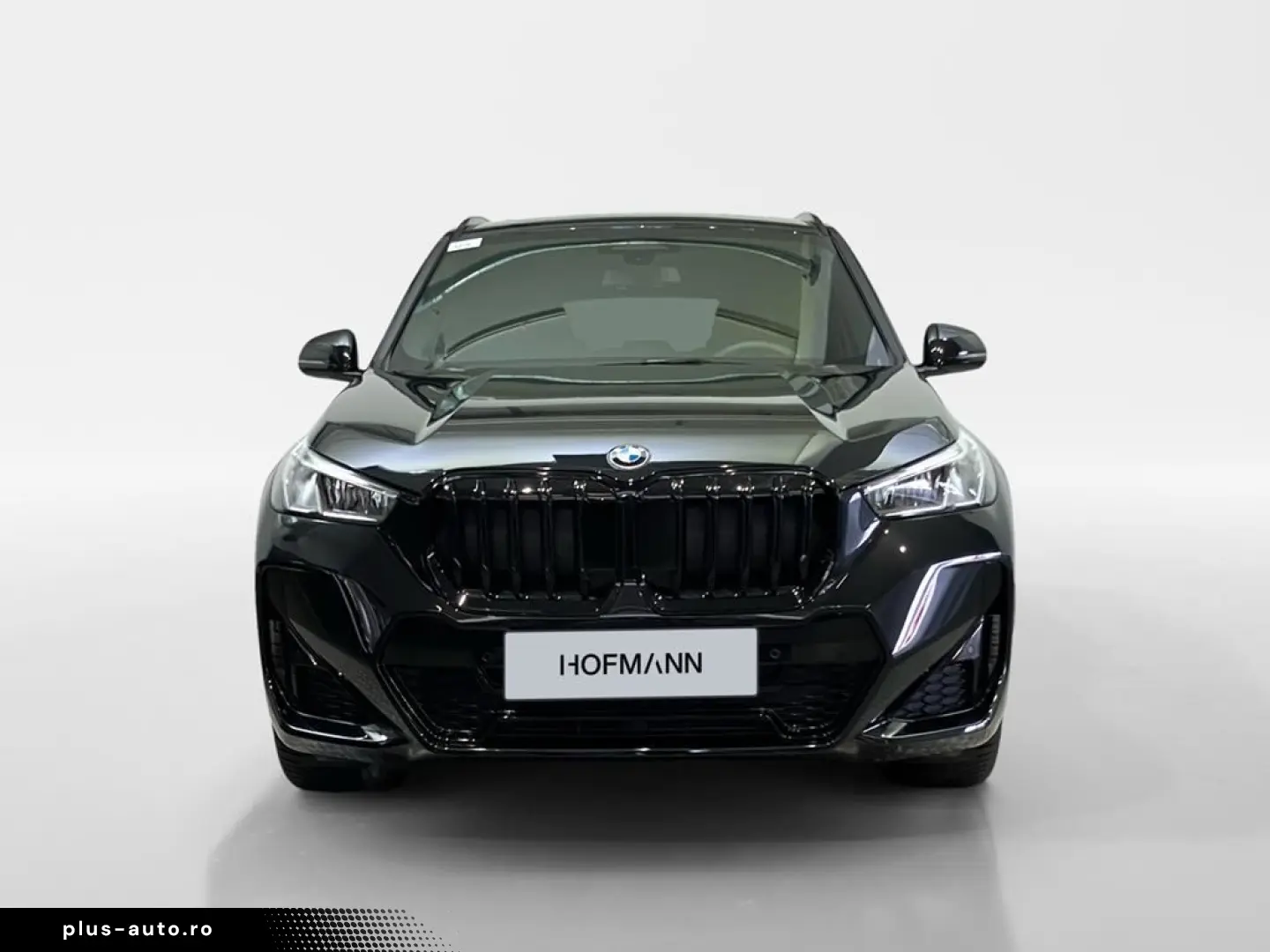 BMW X1 xDrive20d Aut. M Sport AHK Pano ACC SHZ LED