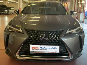 LEXUS UX 250H