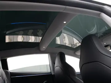 Tesla Model 3 Performance