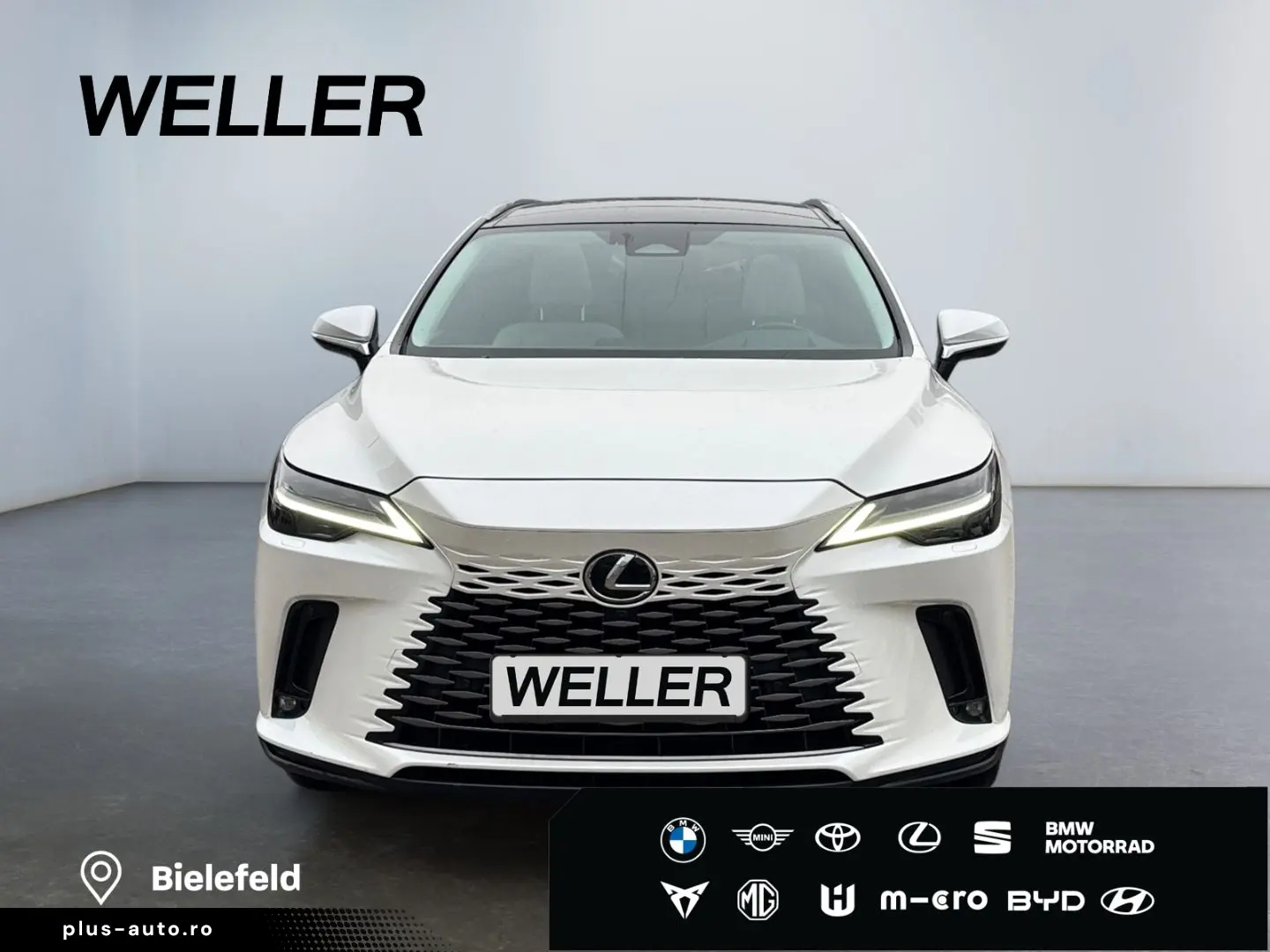 LEXUS RX 450h   Executive Line  LED HUD 360 Leder Pano