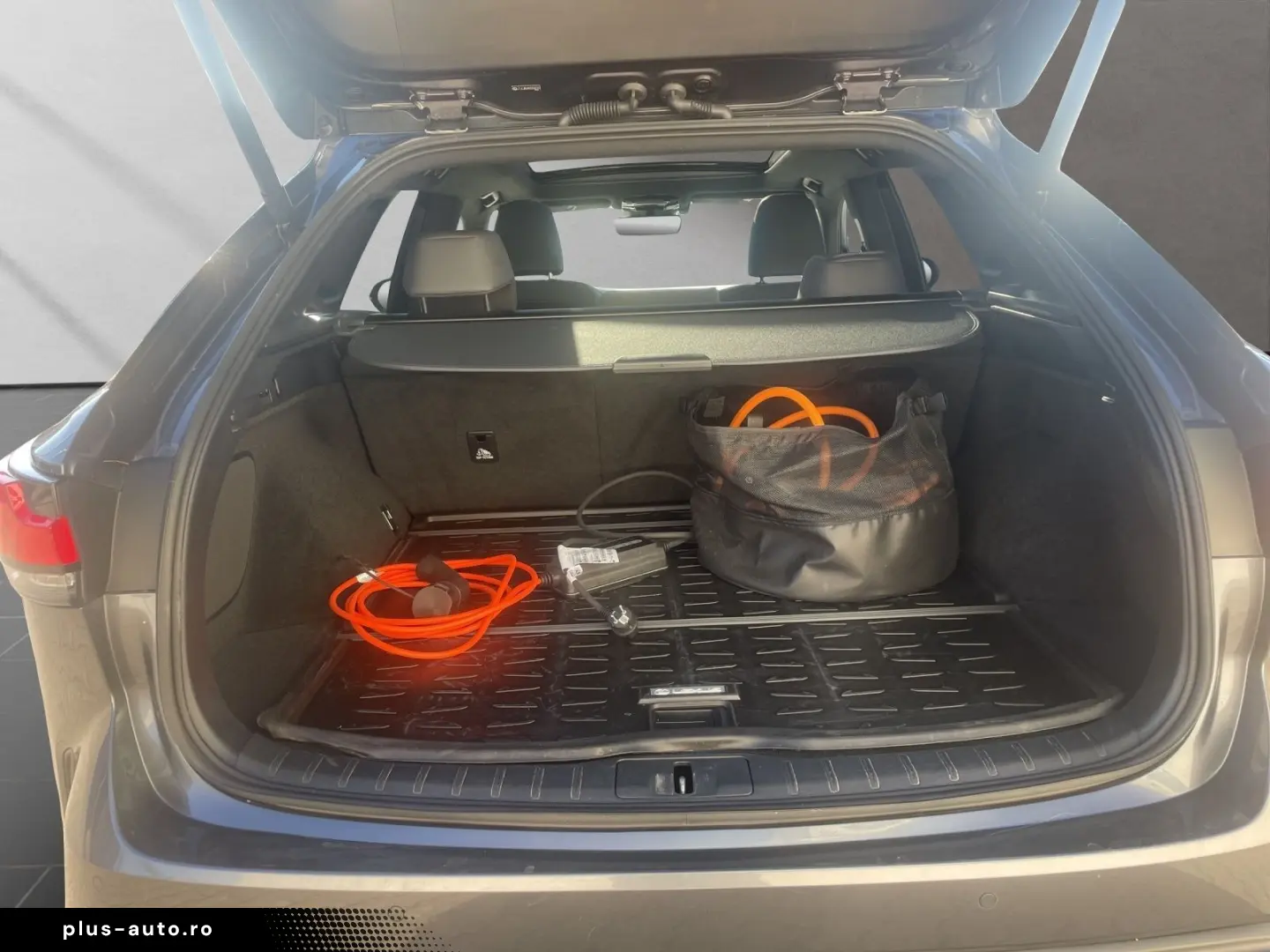 LEXUS RX 450 h  F Sport Design PANO  Garantie  4x4