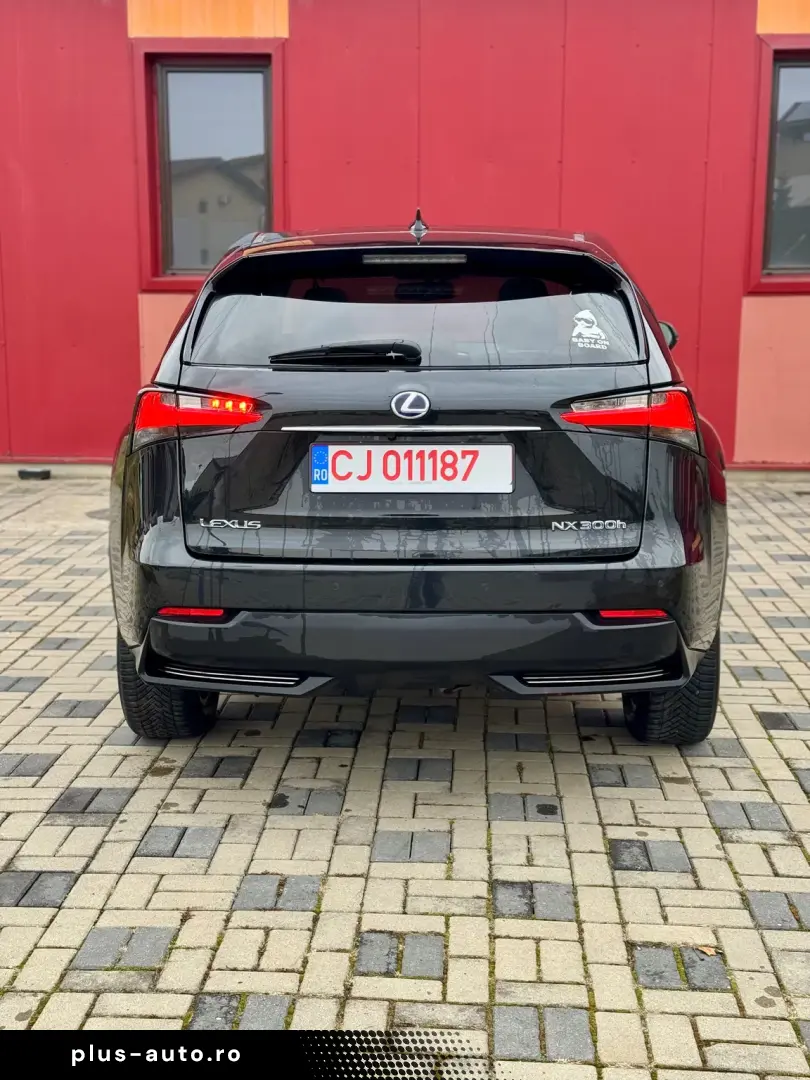Lexus NX 300