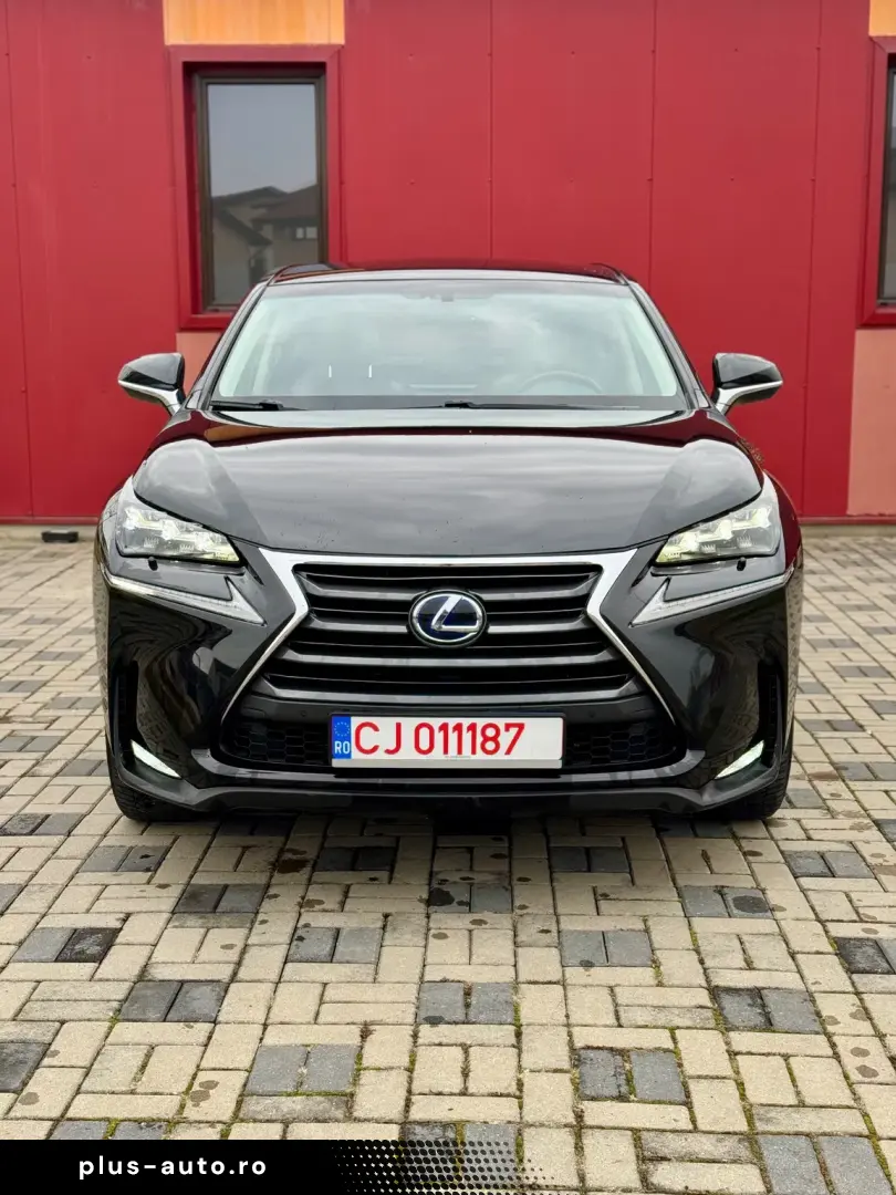 Lexus NX 300