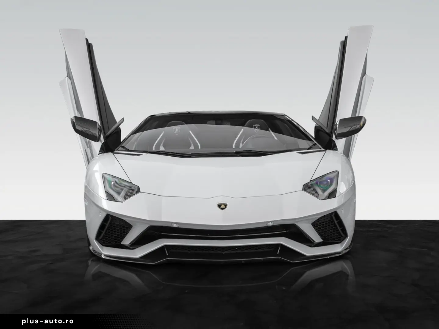 LAMBORGHINI Aventador S Roadster   Carbon Pack   1. Hand