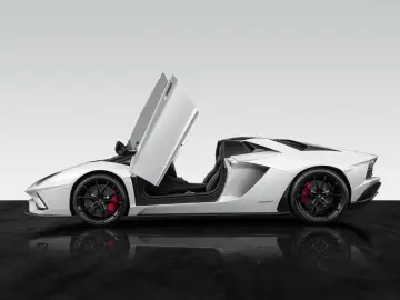 LAMBORGHINI Aventador S Roadster   Carbon Pack   1. Hand