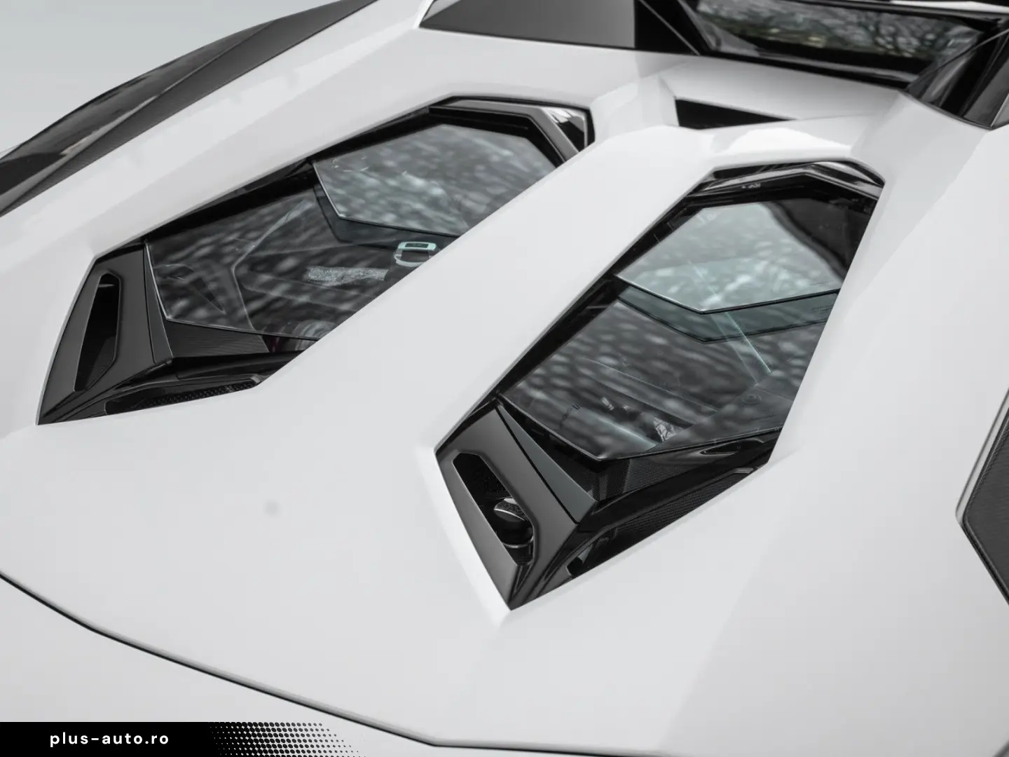 LAMBORGHINI Aventador S Roadster   Carbon Pack   1. Hand