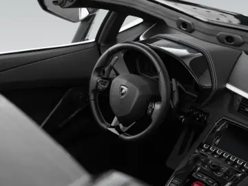 LAMBORGHINI Aventador S Roadster   Carbon Pack   1. Hand