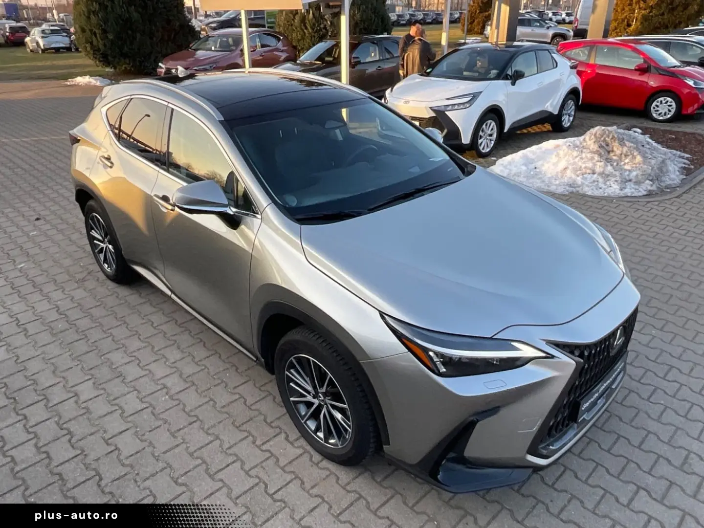 LEXUS NX 350h Executive Line