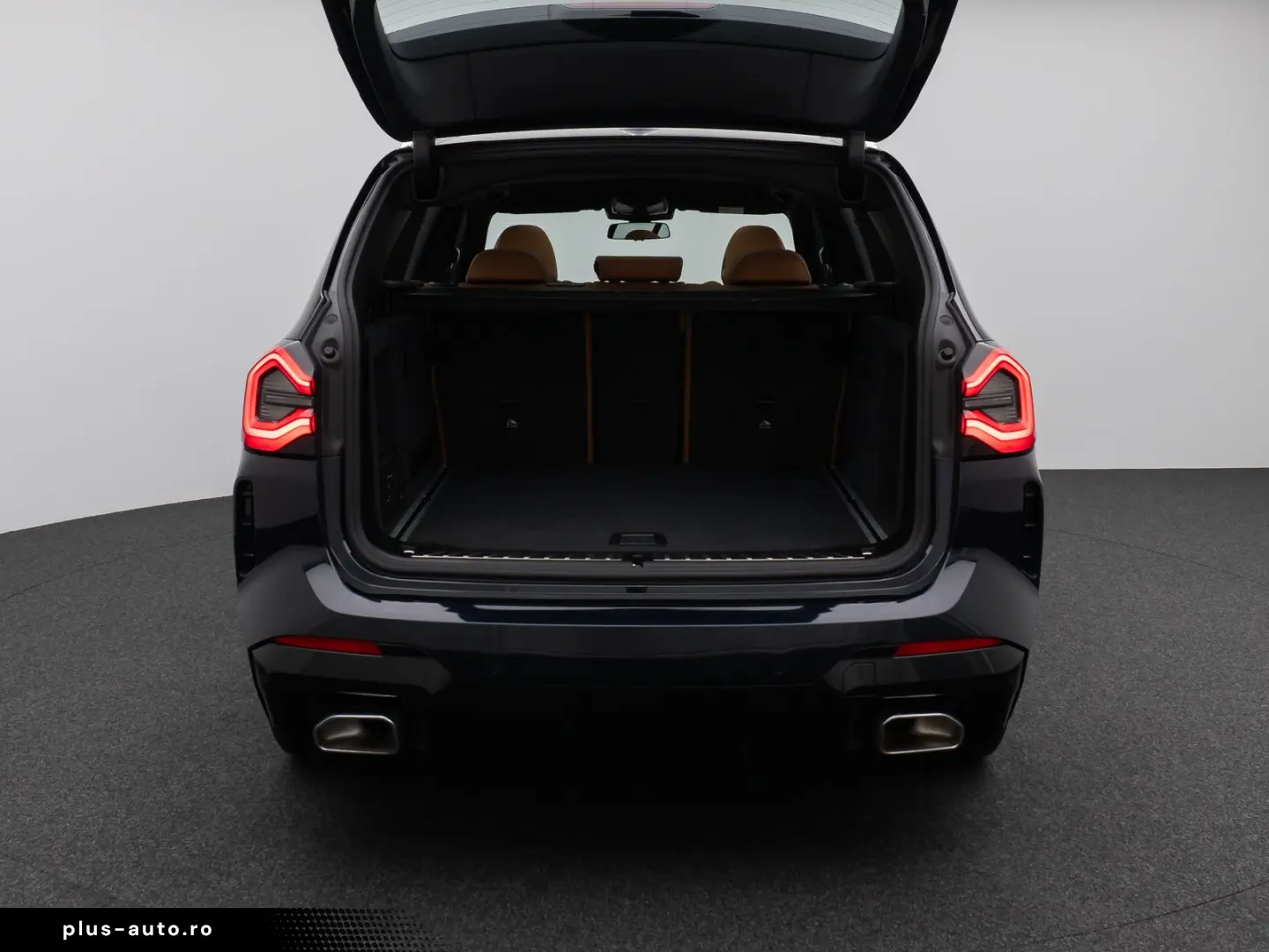 BMW X3 xD30i M Sport Panorama Kamera DAB HiFi Alarm