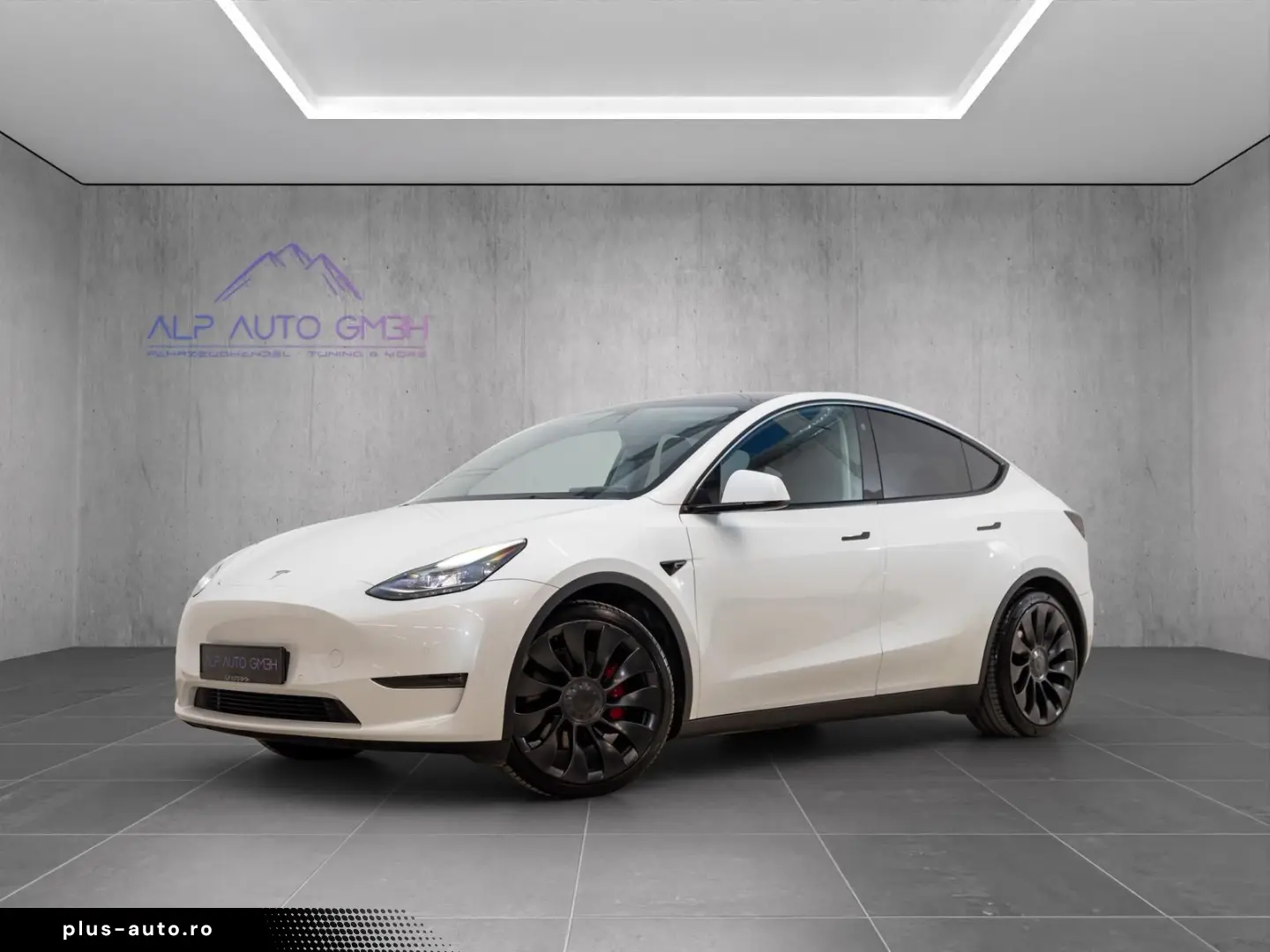 TESLA Model Y Performance Dual AWD 1.HD AMD RYZEN