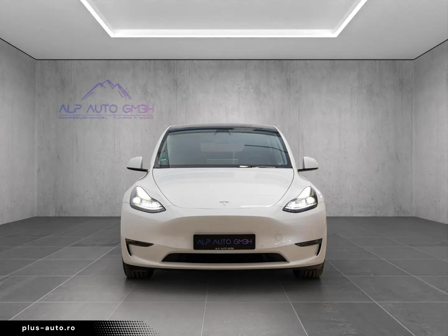 TESLA Model Y Performance Dual AWD 1.HD AMD RYZEN