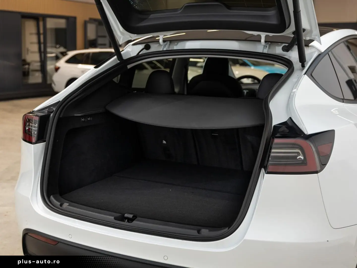 TESLA Model Y Performance Dual AWD 1.HD AMD RYZEN