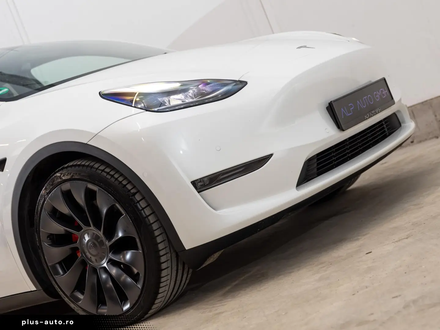 TESLA Model Y Performance Dual AWD 1.HD AMD RYZEN