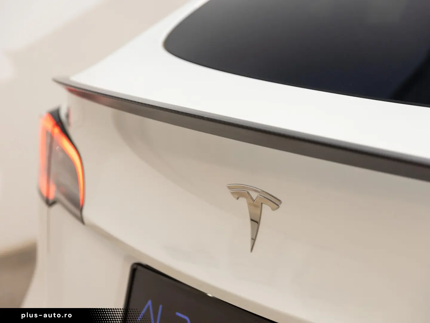 TESLA Model Y Performance Dual AWD 1.HD AMD RYZEN