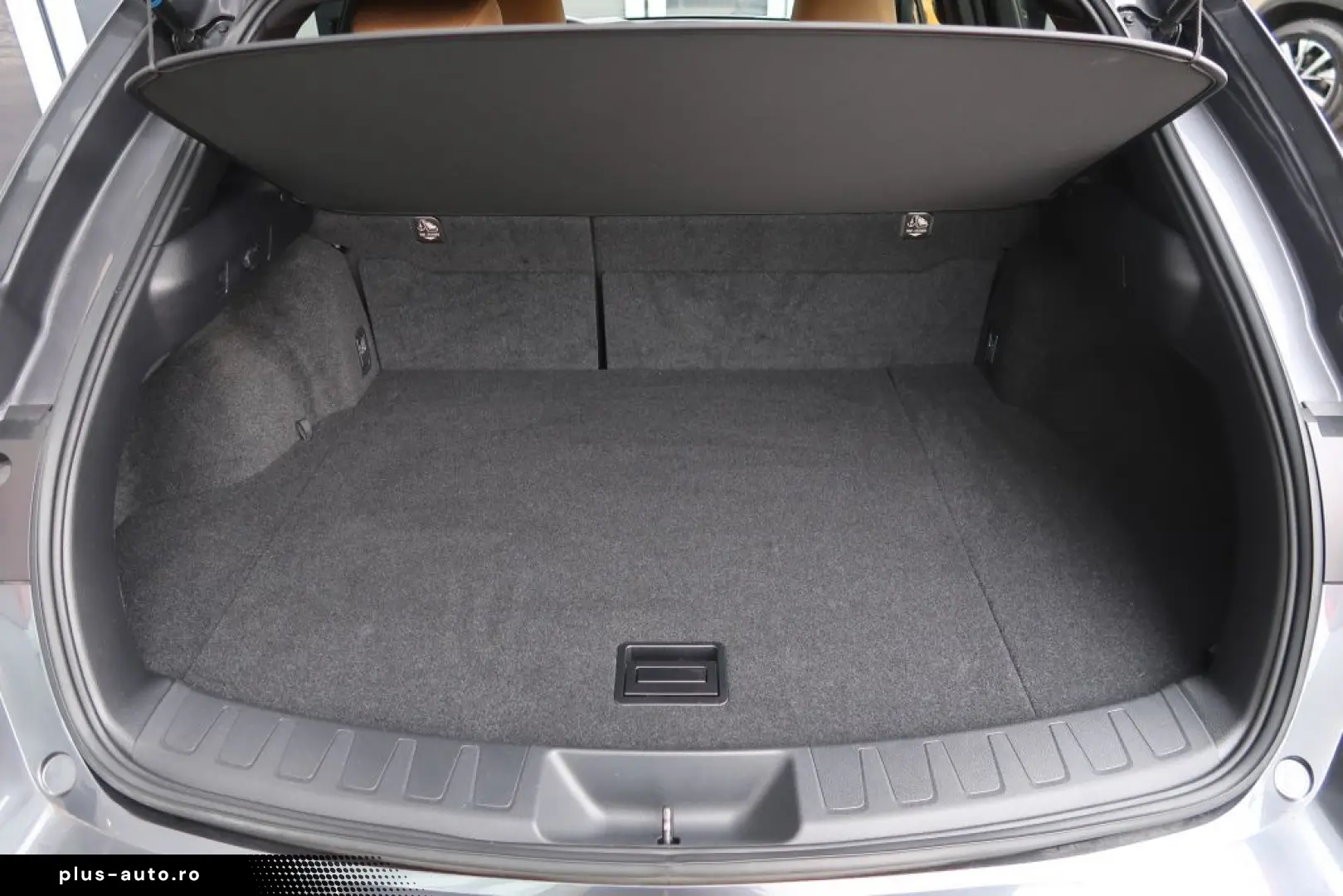 LEXUS UX 250h Style Edition