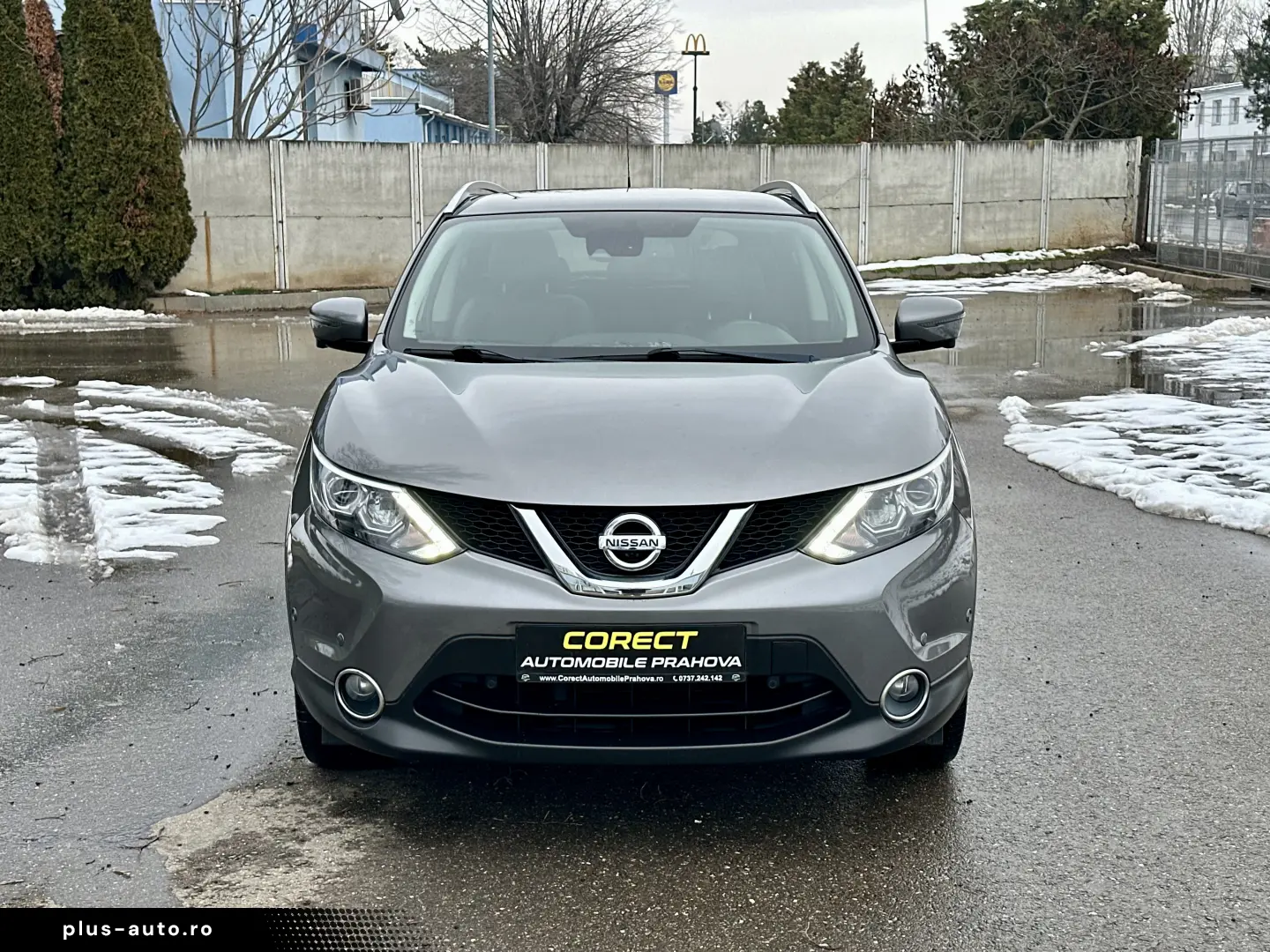 Nissan Qashqai   tekna   2017   Distributie   Panoramic