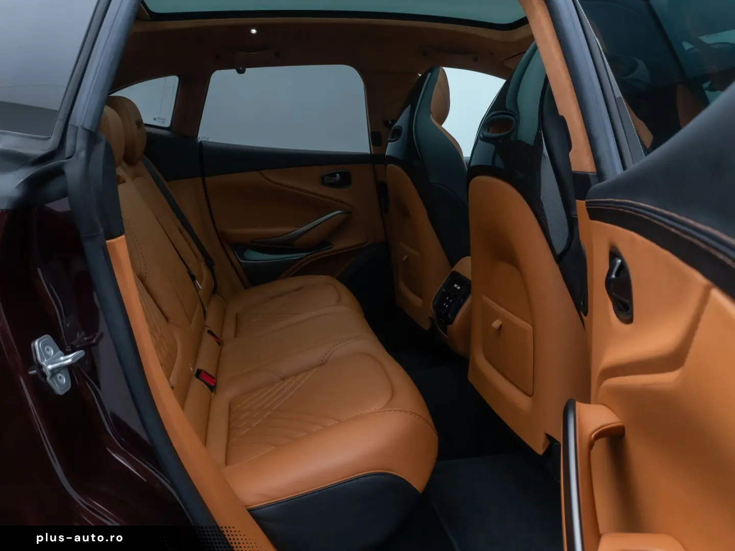 ASTON MARTIN DBX 4.0 V8 Individual Carbon