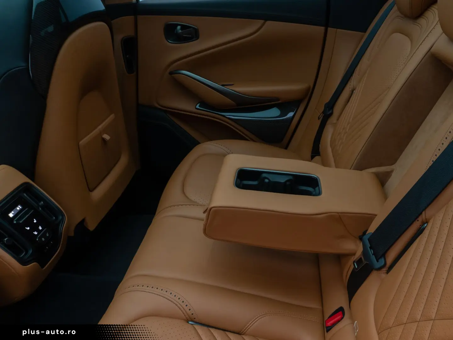 ASTON MARTIN DBX 4.0 V8 Individual Carbon