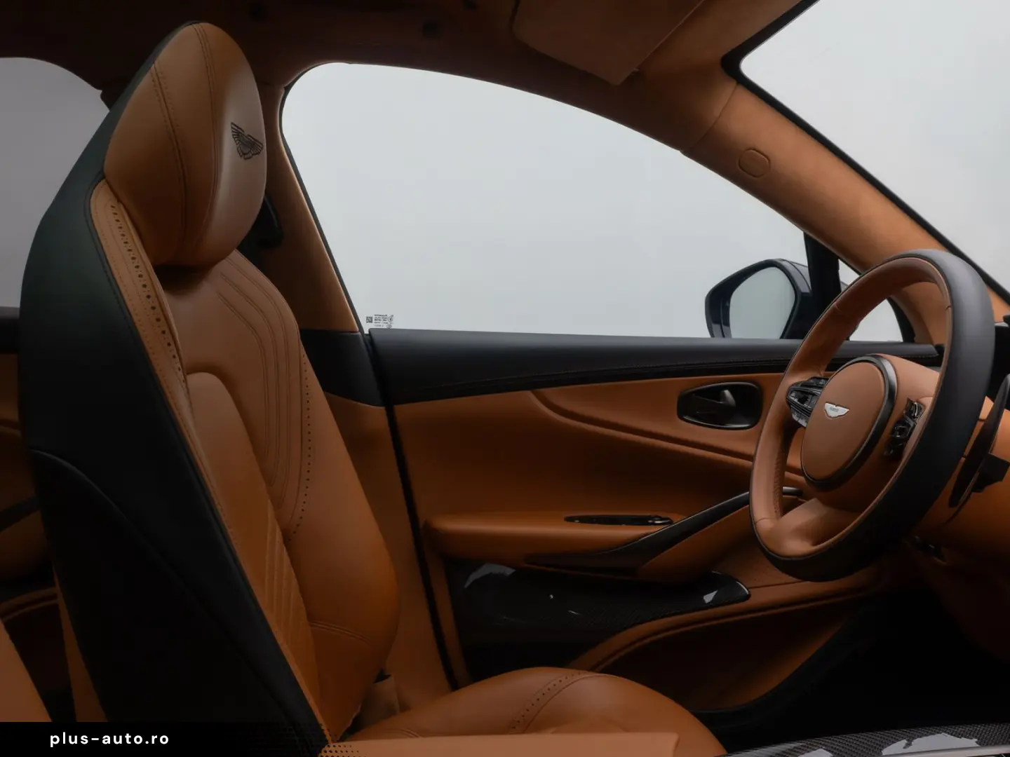 ASTON MARTIN DBX 4.0 V8 Individual Carbon