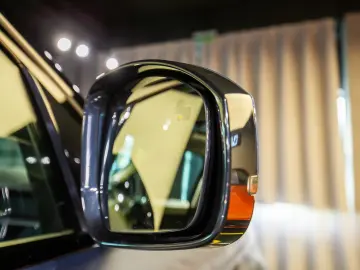 Range Rover Sport D250 HSE Pano Matrix Soft-Cl Air Susp.