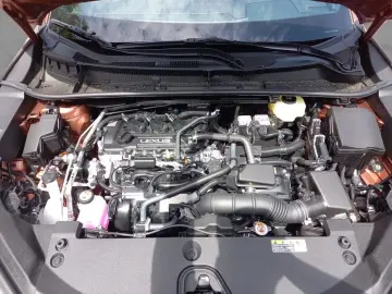 Lexus LBX  Komfort-Paket Kamera Totwinkel-Assistent LE