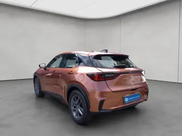 Lexus LBX  Komfort-Paket Kamera Totwinkel-Assistent LE