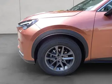 Lexus LBX  Komfort-Paket Kamera Totwinkel-Assistent LE