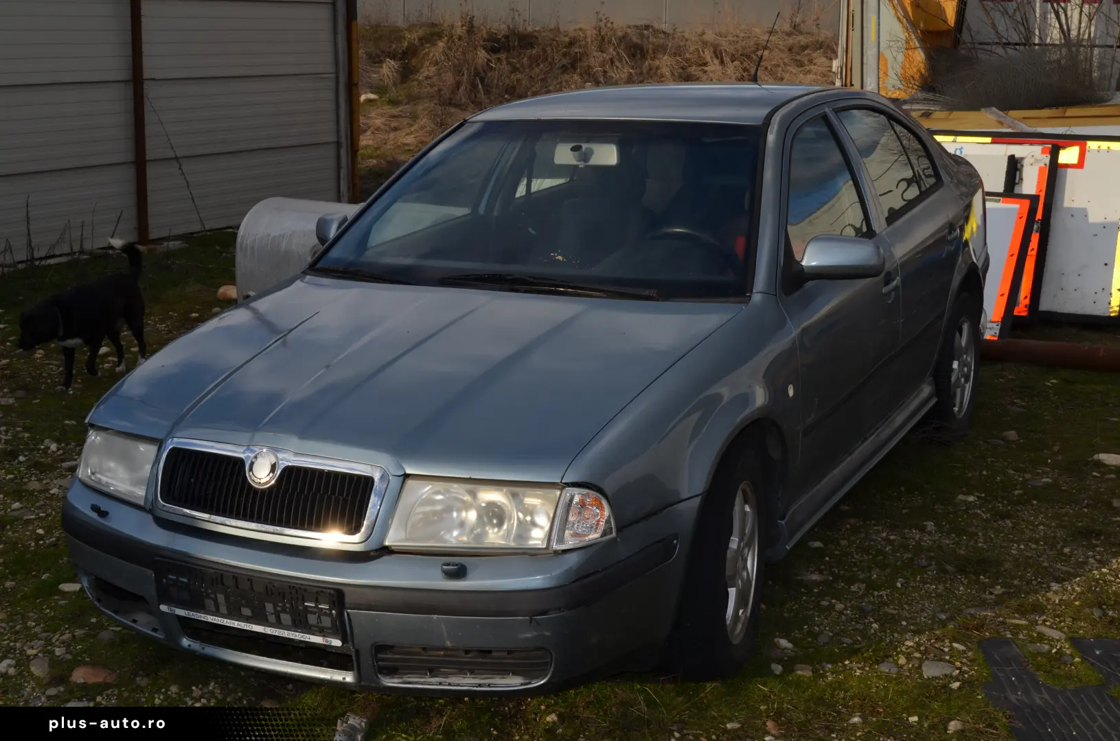 Skoda Octavia 1.9 TDI Motor ALH-radiata