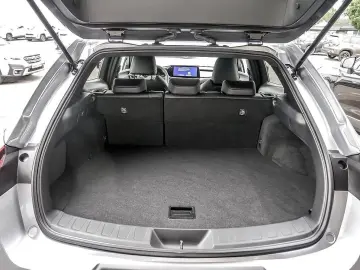 Lexus UX 300h F-Sport