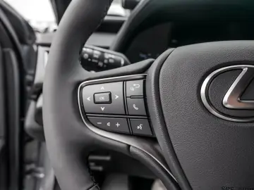 Lexus UX 300h F-Sport