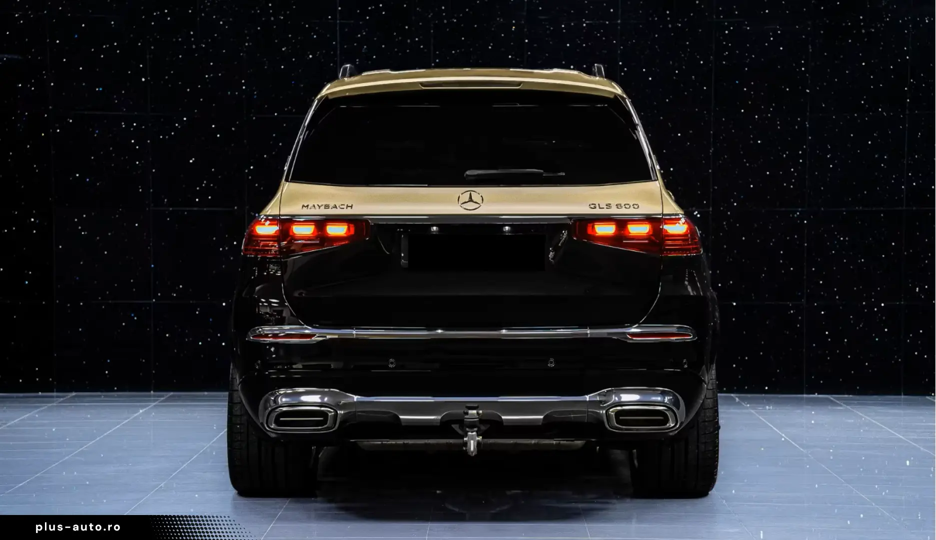 Mercedes-Benz GLS 600 Maybach Two-tone First Class