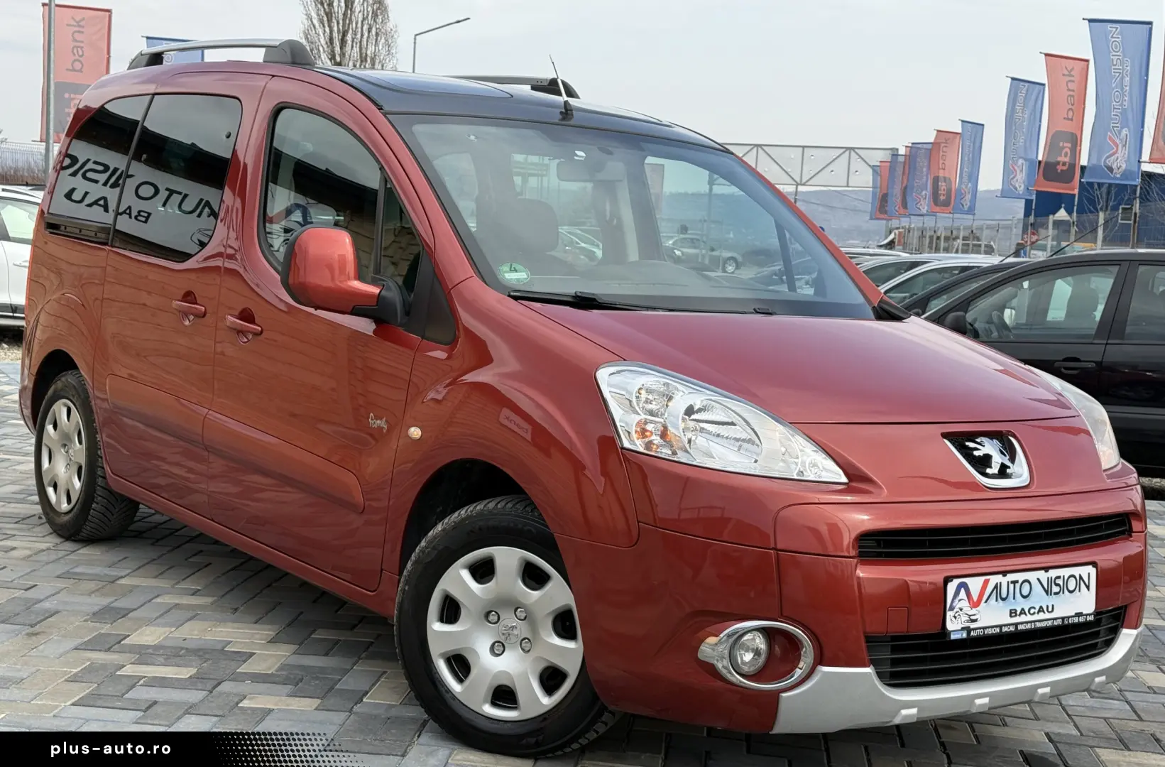 Peugeot Partner Tepee 1.6 benzina